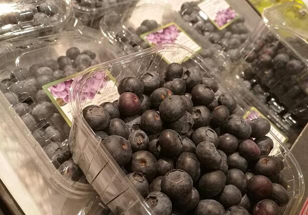 Bild vergr&ouml;&szlig;ern: Strauchbeerenernte 2025 um gut 23 Prozent gestiegen