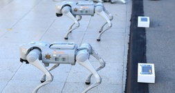 Roboter-Hunde unterstützen mexikanische Polizei bei Fußballweltmeisterschaft