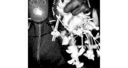 US-Medien: Festnahme im Fall der entführten Mutter von US-Moderatorin