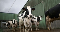 Agrarminister Rainer sichert Milchbauern Unterstützung ohne Markteingriff zu
