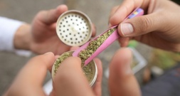 Bundesgerichtshof verhandelt über Werbung für Cannabis auf Rezept