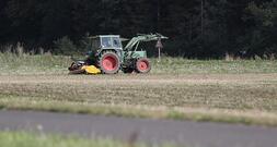 Landwirtschaftliche Erzeugerpreise im Dezember deutlich gesunken