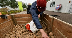Erzeugerpreise für Landwirte 2025 minimal gestiegen