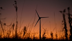 Grüne und Verbände warnen Reiche vor einem Abwürgen der Energiewende