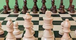 Judit Polgár fordert Unterstützung für Mädchen im Schach