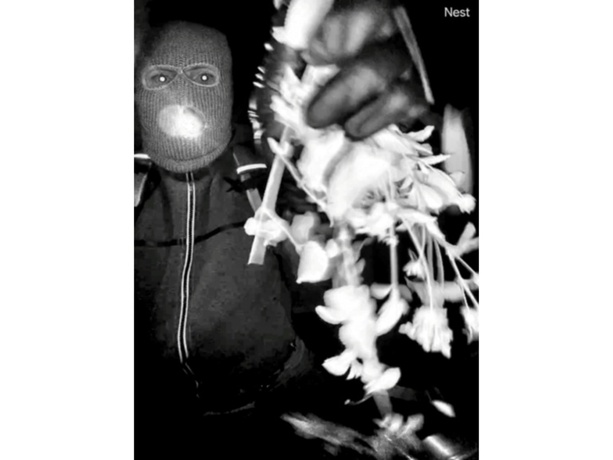 Bild vergr&ouml;&szlig;ern: Nie zu spät: US-Moderatorin richtet flehenden Appell an Entführer ihrer Mutter