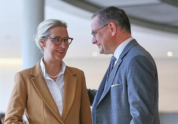 Bild vergr&ouml;&szlig;ern: Forsa: AfD holt zu Union auf - Grüne und Linke verlieren