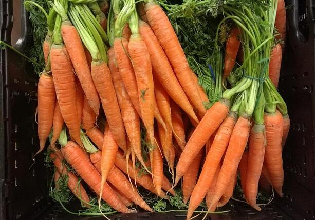 Bild vergr&ouml;&szlig;ern: Gemüseernte steigt 2025 auf neuen Höchststand