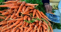 Mehr als 4,5 Millionen Tonnen: Gemüseernte in Deutschland auf Rekordhoch