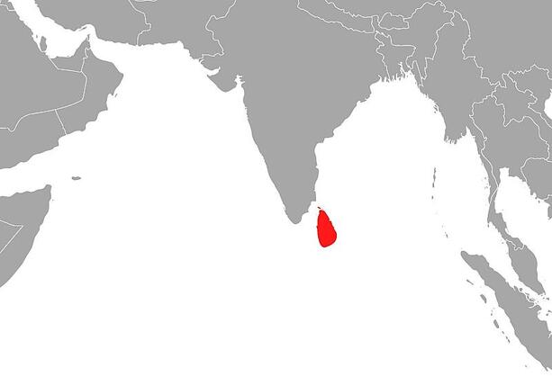 Bild vergr&ouml;&szlig;ern: USA versenken iranisches Kriegsschiff vor Sri Lanka