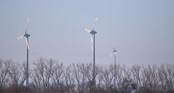 Günther fordert in Energiekrise Fokus auf Erneuerbare