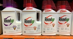 Glyphosat-Klagen gegen Monsanto: US-Gericht billigt Milliarden-Vergleich