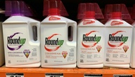 Glyphosat-Klagen gegen Monsanto: US-Gericht billigt Milliarden-Vergleich