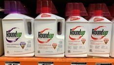 Glyphosat-Klagen gegen Monsanto: US-Gericht billigt Milliarden-Vergleich