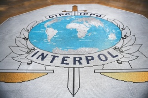 Interpol meldet 60 Festnahmen wegen Kindesmissbrauchs in Mittelamerika