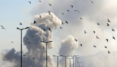 Iran-Krieg: Neue Angriffe auf Teheran und Golfstaaten - Trump zieht positive Bilanz