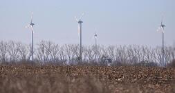 Unternehmen und Grüne starten Appell gegen Energiepolitik