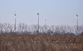 Unternehmen und Grüne starten Appell gegen Energiepolitik