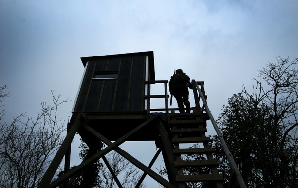 Bild vergr&ouml;&szlig;ern: Dutzende Hochsitze in Sachsen zerstört: Razzia bei militanten Tierschützern