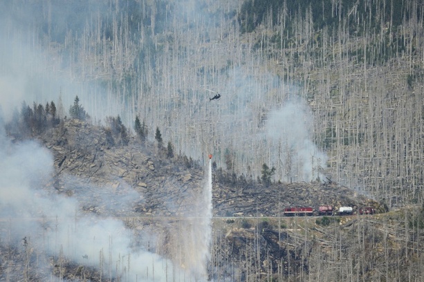 Bild vergr&ouml;&szlig;ern: Münchner Experten warnen vor drastischem Anstieg von Waldschäden durch Klimawandel