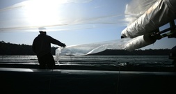 Bundeslandwirtschaftsministerium bekräftigt: Ausnahmen vom Mindestlohn nicht möglich