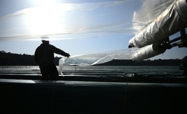 Bundeslandwirtschaftsministerium bekräftigt: Ausnahmen vom Mindestlohn nicht möglich