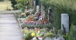 Lebenserwartung in Westeuropa driftet zunehmend auseinander