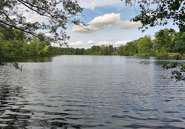 Bild vergr&ouml;&szlig;ern: Zahl der Badetoten 2025 gesunken