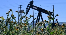 Erleicherung an den Börsen - trotz gesunkenen Ölpreises aber kein billigerer Sprit