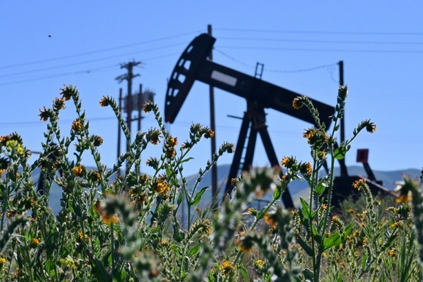 Bild vergr&ouml;&szlig;ern: Erleicherung an den Börsen - trotz gesunkenen Ölpreises aber kein billigerer Sprit