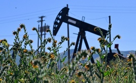 Erleicherung an den Börsen - trotz gesunkenen Ölpreises aber kein billigerer Sprit