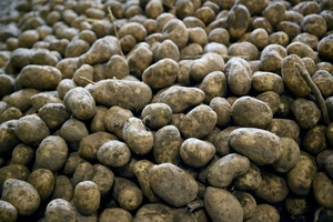 Inflationsrate im Februar unter zwei Prozent - Teuerung bei Lebensmitteln geringer