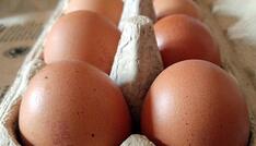Geflügelwirtschaft sieht knappes Eier-Angebot zu Ostern