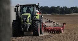Erzeugerpreise landwirtschaftlicher Produkte im Januar gesunken