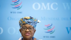 Welthandelsorganisation: Krieg in Nahost belastet Handelsströme massiv