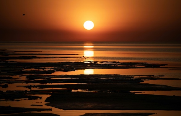 Bild vergr&ouml;&szlig;ern: UNO schlägt Alarm: Die vergangenen elf Jahre waren die heißesten der Geschichte