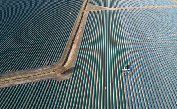 Bild vergr&ouml;&szlig;ern: Löhne für Beschäftigte in der Landwirtschaft sollen um rund zehn Prozent steigen