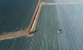 Löhne für Beschäftigte in der Landwirtschaft sollen um rund zehn Prozent steigen