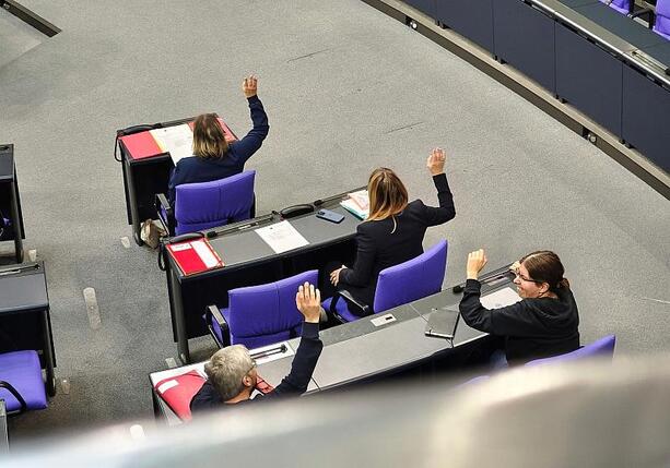 Bild vergr&ouml;&szlig;ern: Strategiepapier: Linke will Regierungskurs delegitimieren