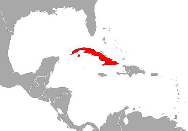 Bild vergr&ouml;&szlig;ern: USA lassen russischen Öltanker nach Kuba