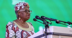 WTO-Verhandlungen ohne Ergebnis beendet - Zollmoratorium für Digitales läuft aus