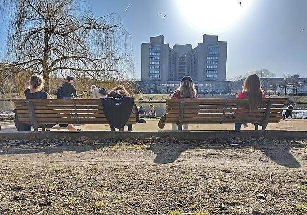 Bild vergr&ouml;&szlig;ern: Wetterdienst: März war außergewöhnlich sonnig und niederschlagsarm