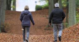 Studie: Mehrheit der Frührentner würde weiterarbeiten