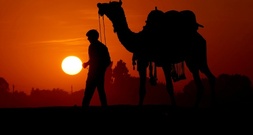 Mit Kamelen über Waldpfade: Alkoholschmuggler in Indien geschnappt