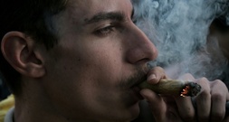 Evaluation Cannabis-Legalisierung: Kein Anstieg von Konsum - aber andere Probleme