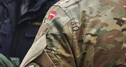 Grüne und FDP wollen mehr Vorbereitung auf Verteidigungsfall für EU