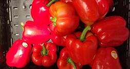 SPD-Wirtschaftsflügel will Mehrwertsteuersenkung für gesundes Essen