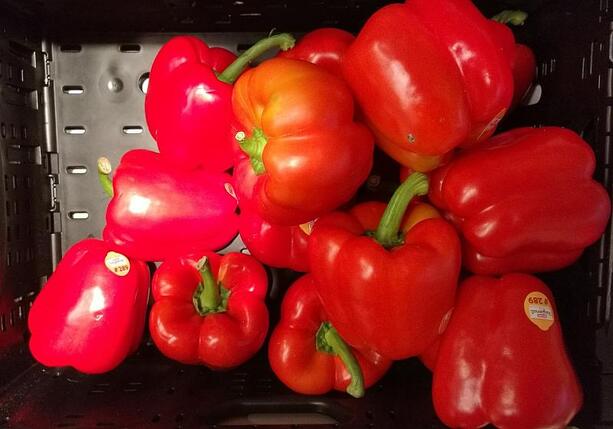 Bild vergr&ouml;&szlig;ern: SPD-Wirtschaftsflügel will Mehrwertsteuersenkung für gesundes Essen