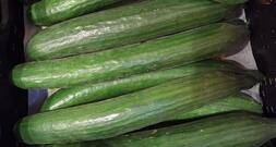 DGB befürwortet Streichung von Mehrwertsteuer auf Lebensmittel