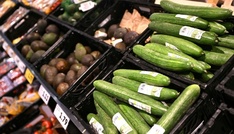 CDU-Politiker offen für Streichung von Mehrwertsteuer auf Grundnahrungsmittel